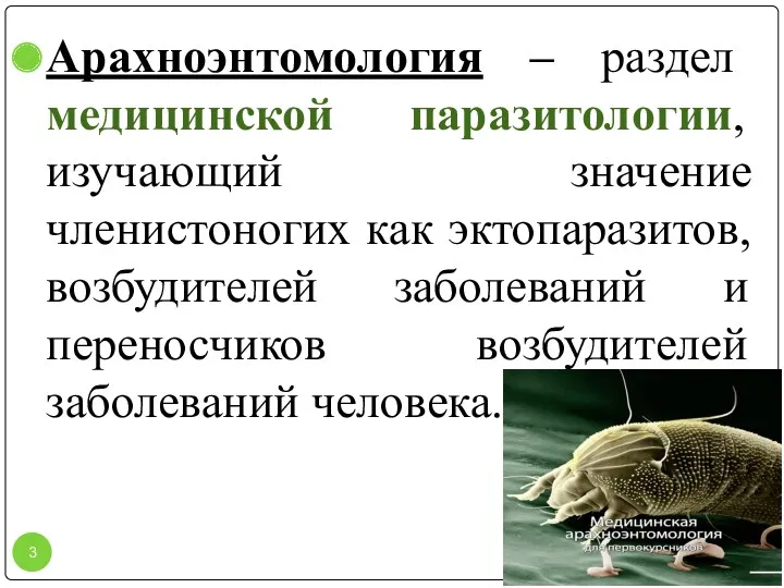 Арахноэнтомология – раздел медицинской паразитологии, изучающий значение членистоногих как эктопаразитов,