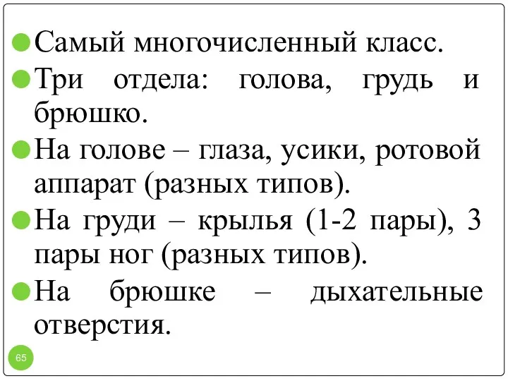 Самый многочисленный класс. Три отдела: голова, грудь и брюшко. На