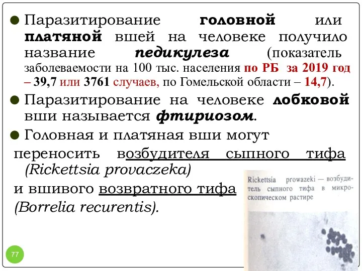 Паразитирование головной или платяной вшей на человеке получило название педикулеза