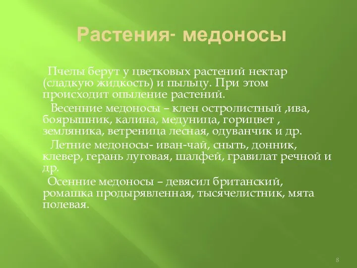 Растения- медоносы Пчелы берут у цветковых растений нектар (сладкую жидкость) и пыльцу. При