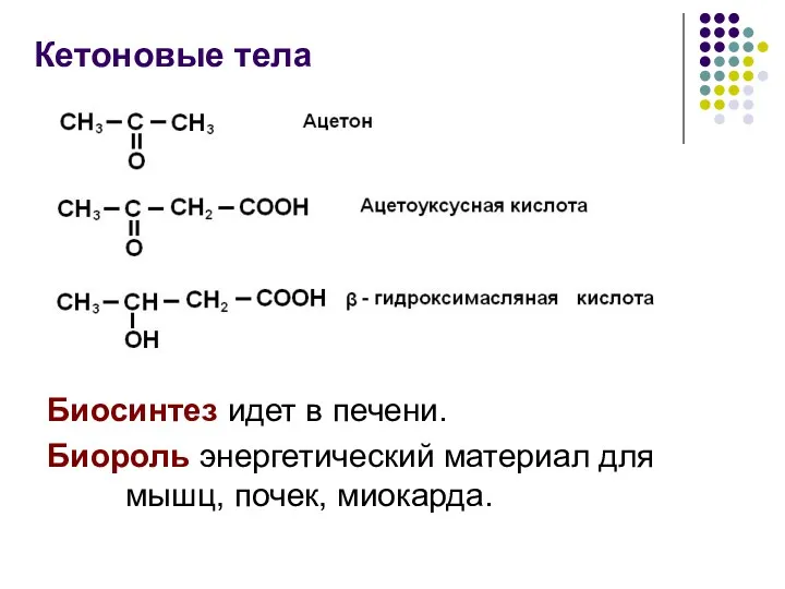 Кетоновые тела Биосинтез идет в печени. Биороль энергетический материал для мышц, почек, миокарда.