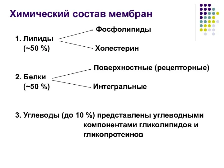 Химический состав мембран Фосфолипиды 1. Липиды (~50 %) Холестерин Поверхностные