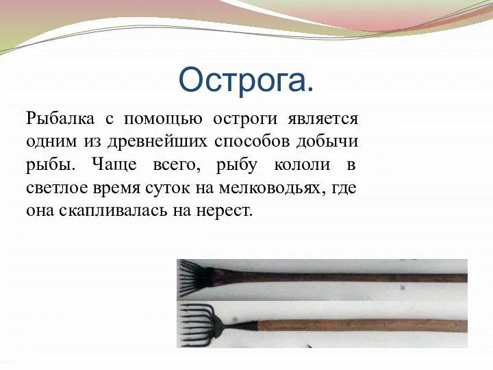 Острога. Рыбалка с помощью остроги является одним из древнейших способов добычи рыбы. Чаще