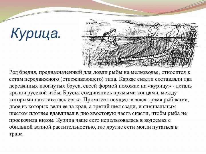 Курица. Род бредня, предназначенный для ловли рыбы на мелководье, относится к сетям передвижного