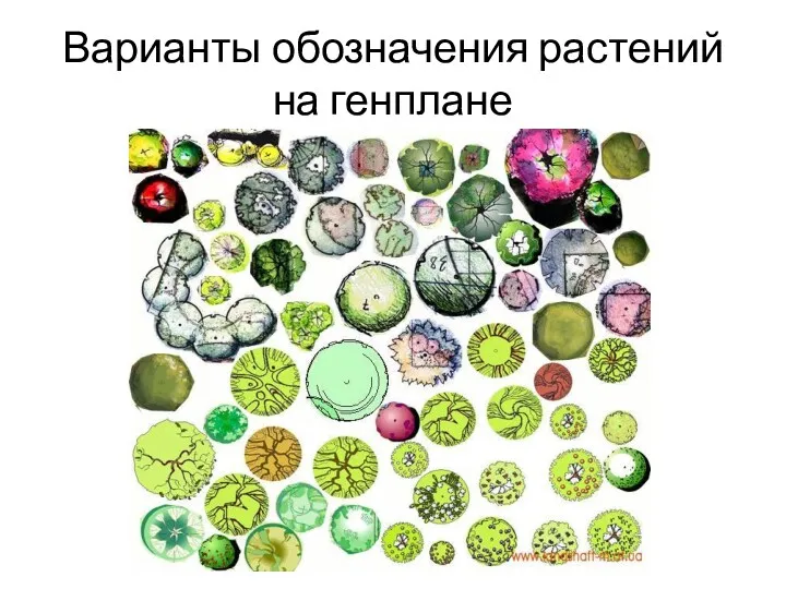 Варианты обозначения растений на генплане