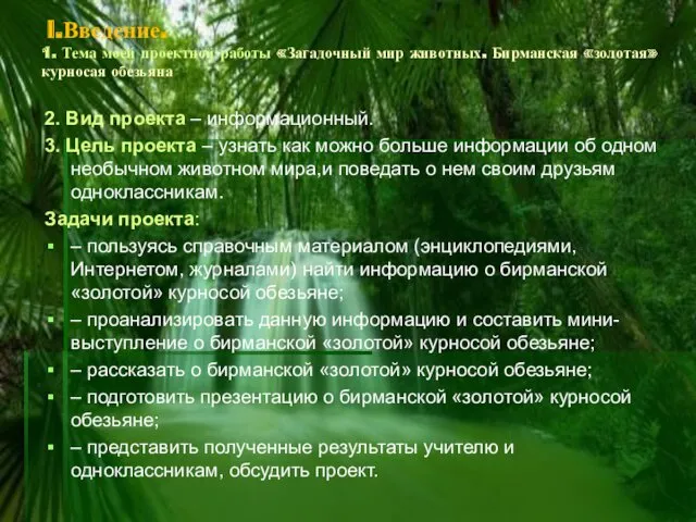 I.Введение. 1. Тема моей проектной работы «Загадочный мир животных. Бирманская