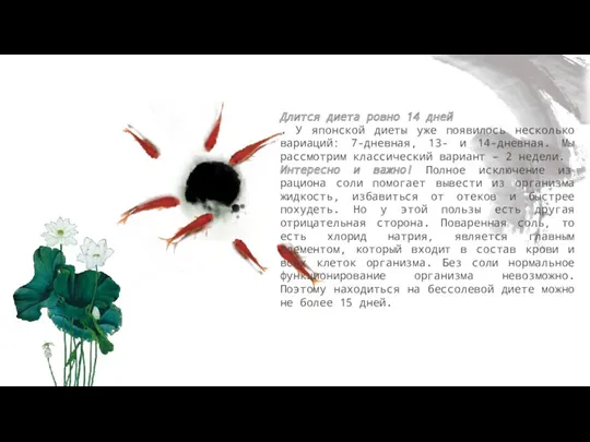 单添加标题 Длится диета ровно 14 дней . У японской диеты