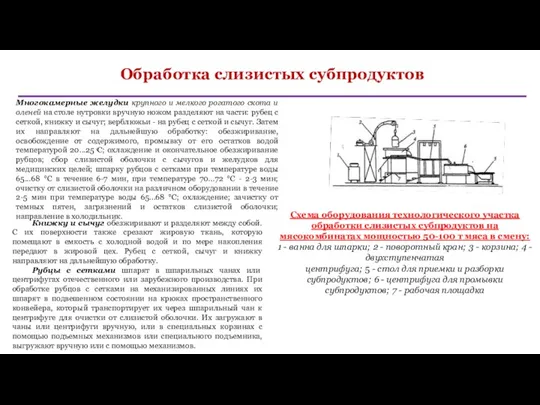 Обработка слизистых субпродуктов Схема оборудования технологического участка обработки слизистых субпродуктов