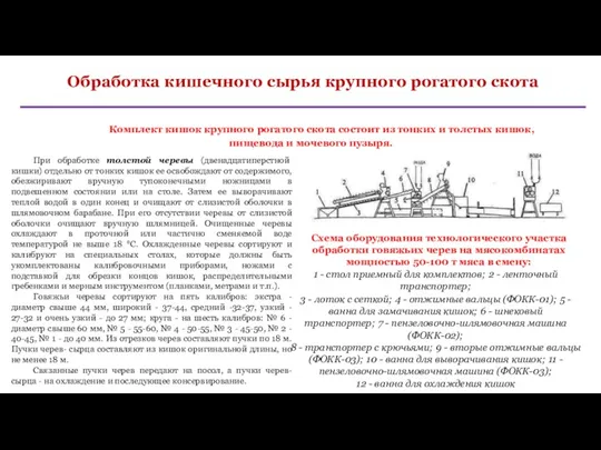 Обработка кишечного сырья крупного рогатого скота Комплект кишок крупного рогатого