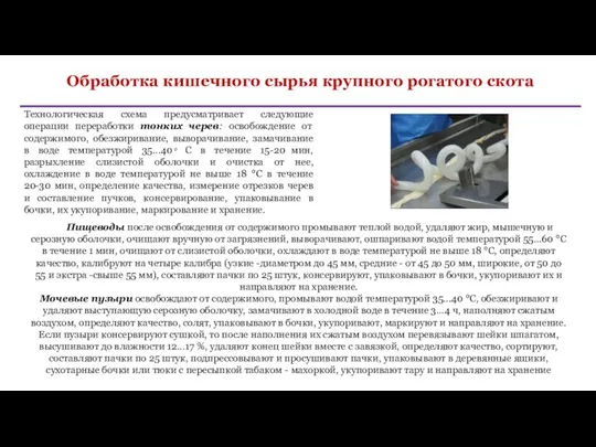 Обработка кишечного сырья крупного рогатого скота Технологическая схема предусматривает следующие