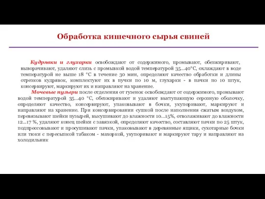 Обработка кишечного сырья свиней Кудрявки и глухарки освобождают от содержимого,