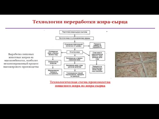 Технологии переработки жира-сырца Технологическая схема производства пищевого жира из жира-сырца