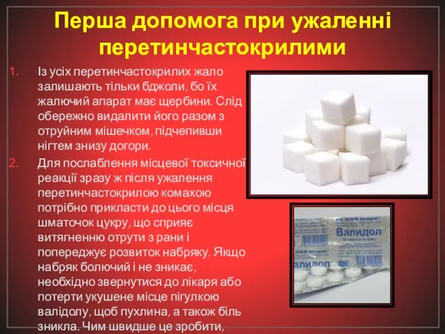 Перша допомога при ужаленні перетинчастокрилими Із усіх перетинчастокрилих жало залишають