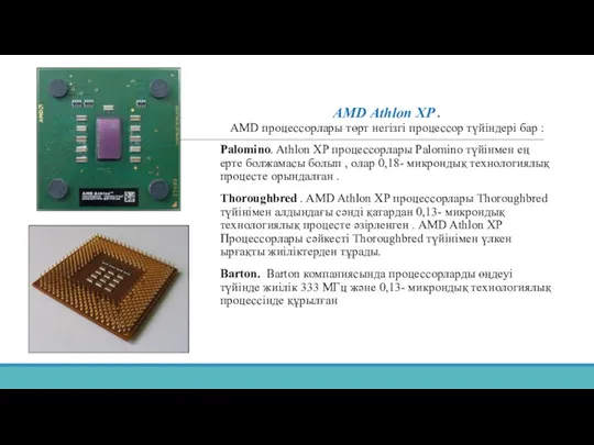 AMD Athlon XP . AMD процессорлары төрт негізгі процессор түйіндері