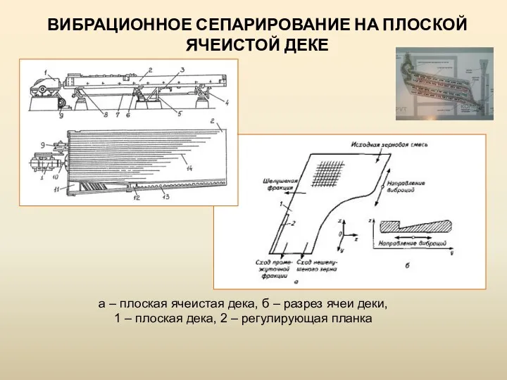 ВИБРАЦИОННОЕ СЕПАРИРОВАНИЕ НА ПЛОСКОЙ ЯЧЕИСТОЙ ДЕКЕ а – плоская ячеистая