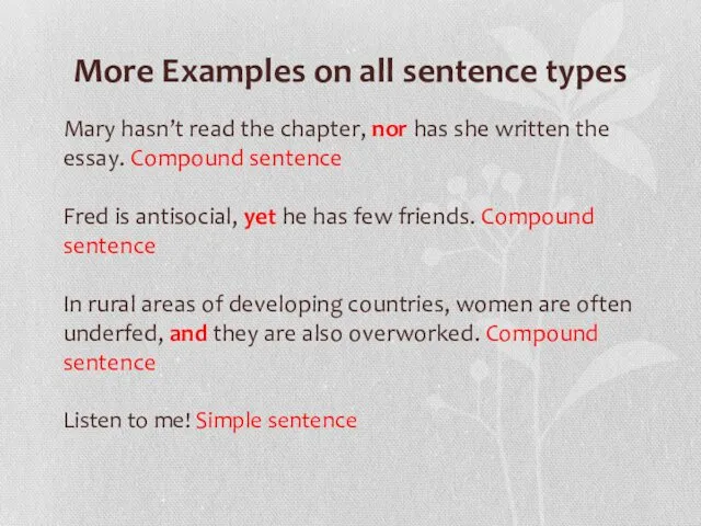 More Examples on all sentence types Mary hasn’t read the chapter, nor has