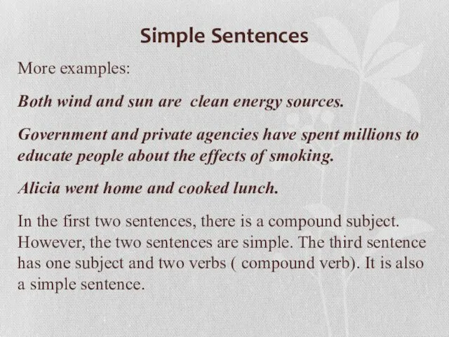 Simple Sentences More examples: Both wind and sun are clean energy sources. Government