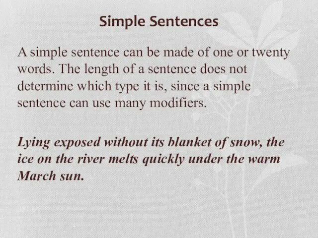 Simple Sentences A simple sentence can be made of one or twenty words.