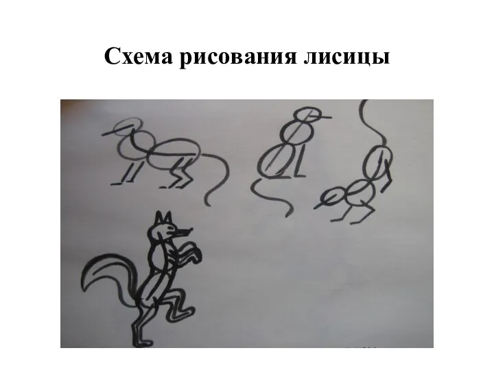 Схема рисования лисицы