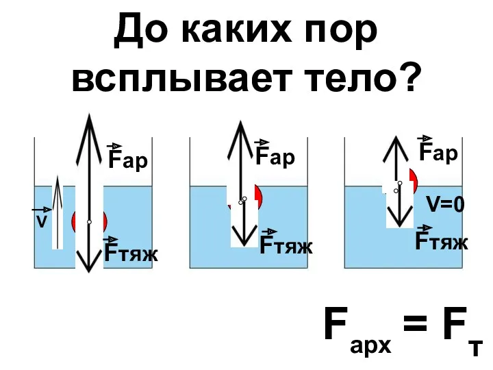 Fтяж Fтяж Fтяж Fарх = Fт До каких пор всплывает тело? V V=0