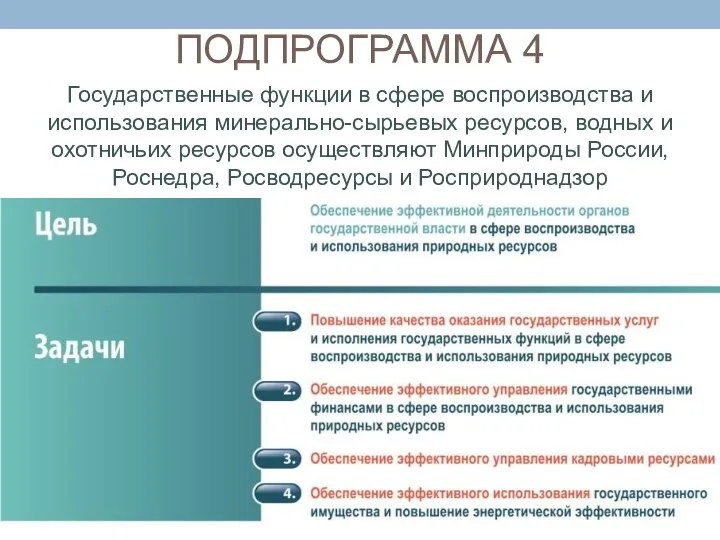 ПОДПРОГРАММА 4 Государственные функции в сфере воспроизводства и использования минерально-сырьевых