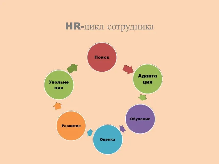 HR-цикл сотрудника