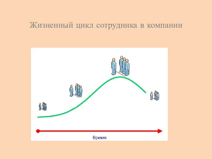 Жизненный цикл сотрудника в компании