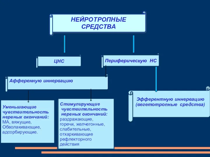 НЕЙРОТРОПНЫЕ СРЕДСТВА ЦНС Периферическую НС Афференную иннервацию Эфферентную иннервацию (вегетотропные