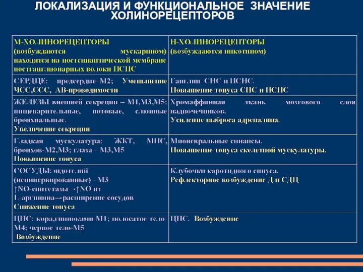 ЛОКАЛИЗАЦИЯ И ФУНКЦИОНАЛЬНОЕ ЗНАЧЕНИЕ ХОЛИНОРЕЦЕПТОРОВ