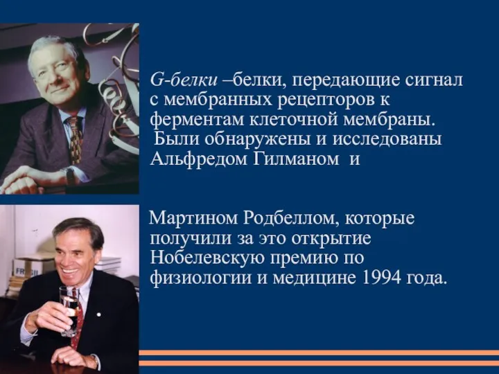 G-белки –белки, передающие сигнал с мембранных рецепторов к ферментам клеточной