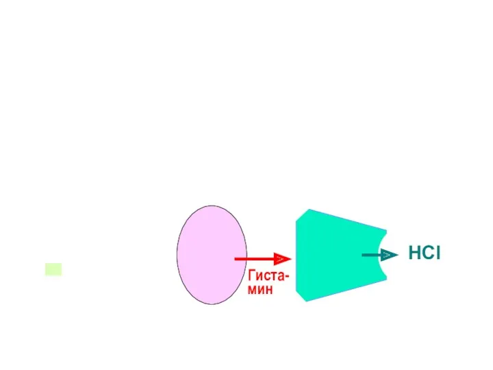 HCl Гиста-мин Сомато-статин D G М2 М3 М3 М1 n.