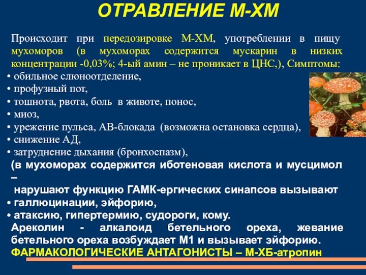 ОТРАВЛЕНИЕ М-ХМ Происходит при передозировке М-ХМ, употреблении в пищу мухоморов