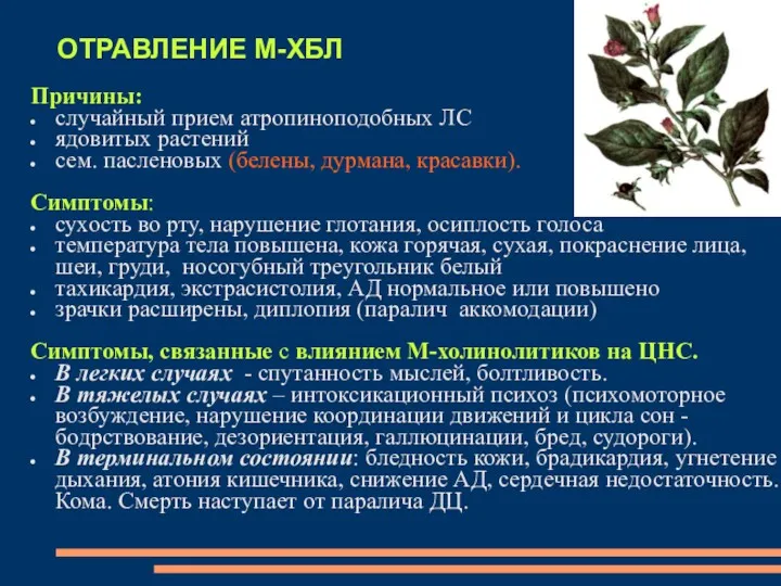 ОТРАВЛЕНИЕ М-ХБЛ Причины: случайный прием атропиноподобных ЛС ядовитых растений сем.