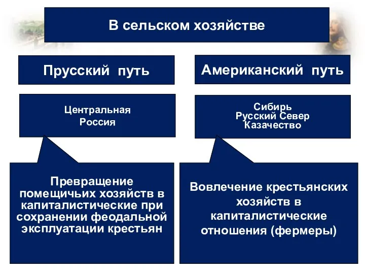 В сельском хозяйстве Прусский путь Американский путь Центральная Россия Сибирь