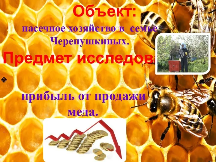 Объект: пасечное хозяйство в семье Черепушкиных. Предмет исследования: прибыль от продажи меда.