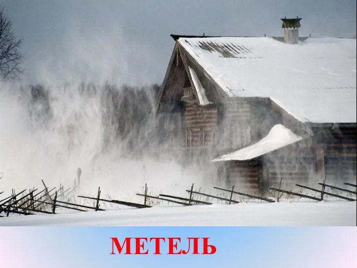 МЕТЕЛЬ