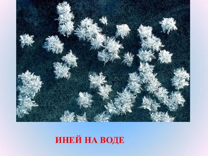 ИНЕЙ НА ВОДЕ