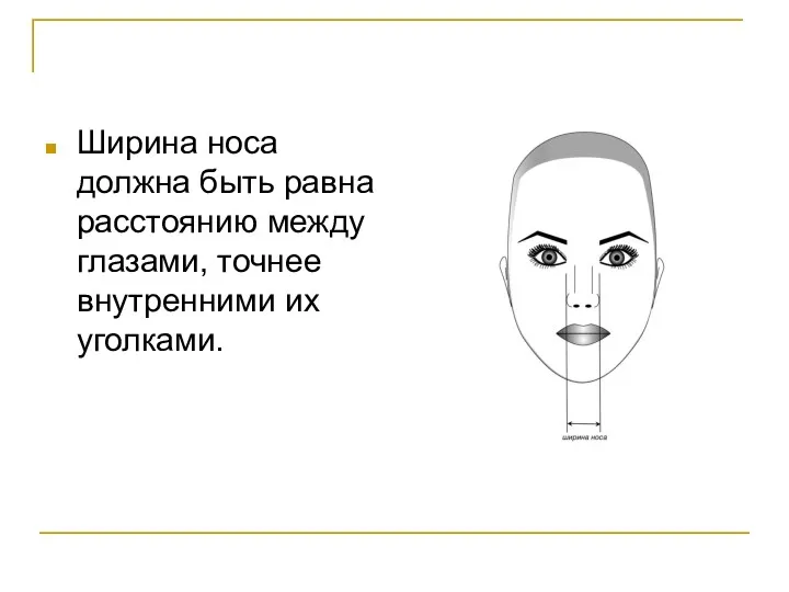 Ширина носа должна быть равна расстоянию между глазами, точнее внутренними их уголками.