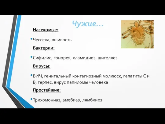 Чужие… Насекомые: Чесотка, вшивость Бактерии: Сифилис, гонорея, хламидиоз, шигеллез Вирусы: