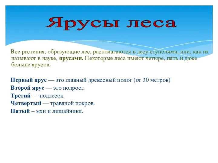 Все растения, образующие лес, располагаются в лесу ступенями, или, как