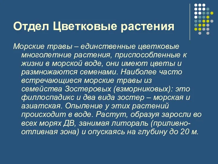 Отдел Цветковые растения Морские травы – единственные цветковые многолетние растения,