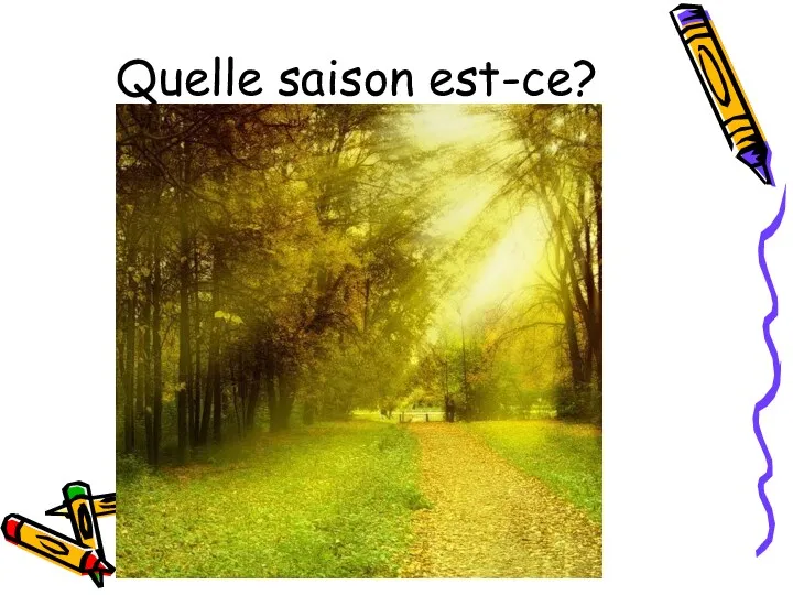 Quelle saison est-ce?