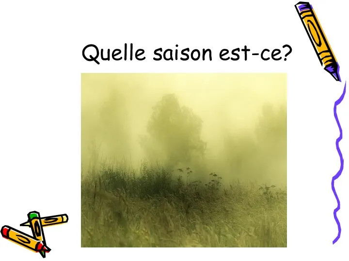 Quelle saison est-ce?