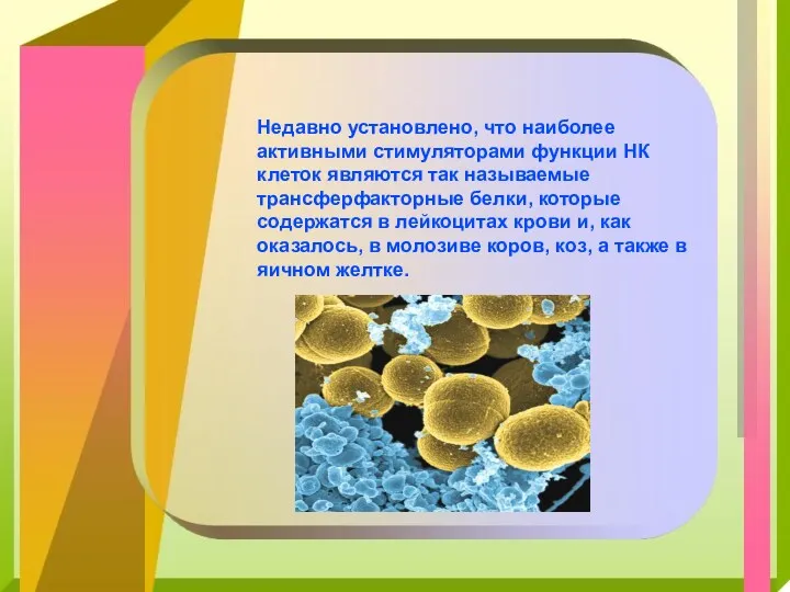 Недавно установлено, что наиболее активными стимуляторами функции НК клеток являются