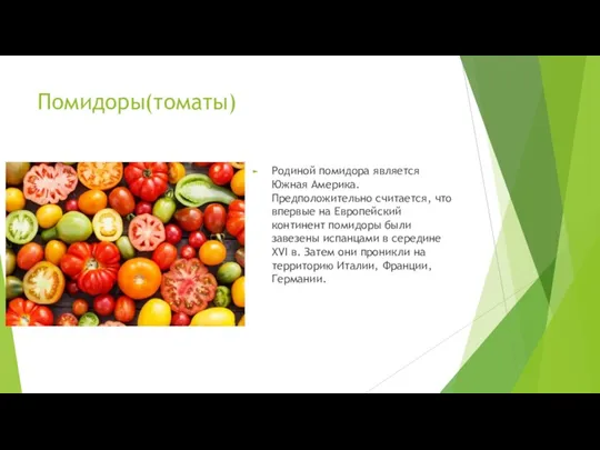 Помидоры(томаты) Родиной помидора является Южная Америка. Предположительно считается, что впервые