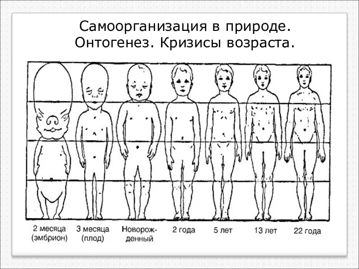 Самоорганизация в природе. Онтогенез. Кризисы возраста.