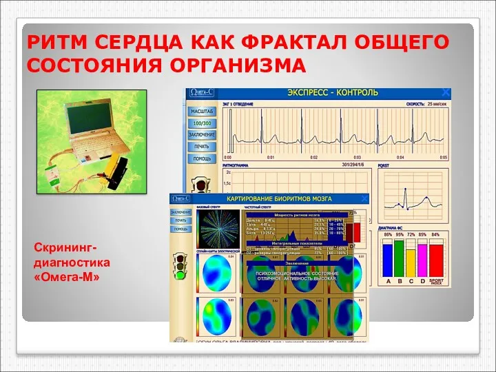 РИТМ СЕРДЦА КАК ФРАКТАЛ ОБЩЕГО СОСТОЯНИЯ ОРГАНИЗМА Скрининг-диагностика «Омега-М»