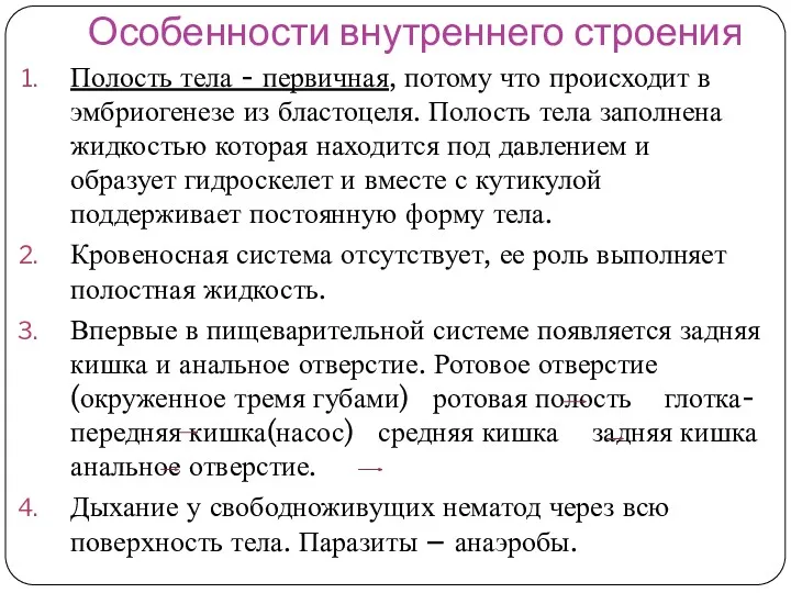 Особенности внутреннего строения Полость тела - первичная, потому что происходит