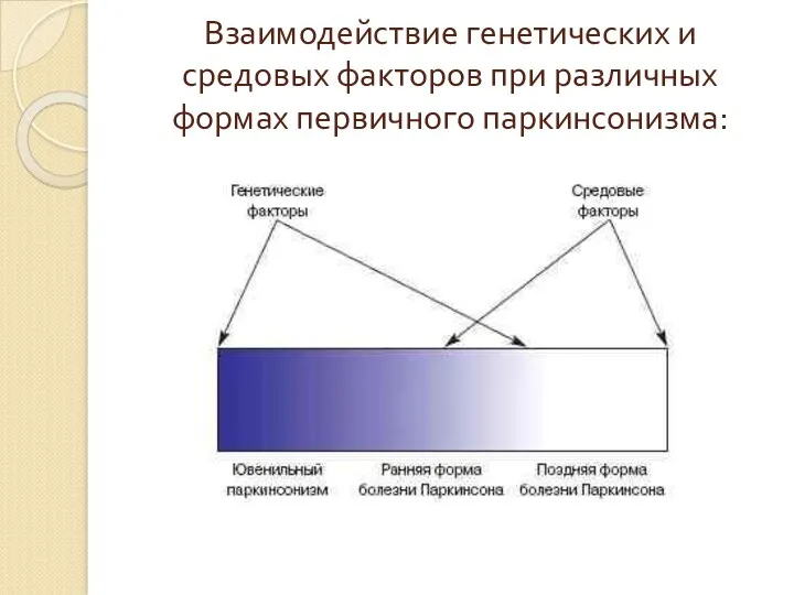 Взаимодействие генетических и средовых факторов при различных формах первичного паркинсонизма: