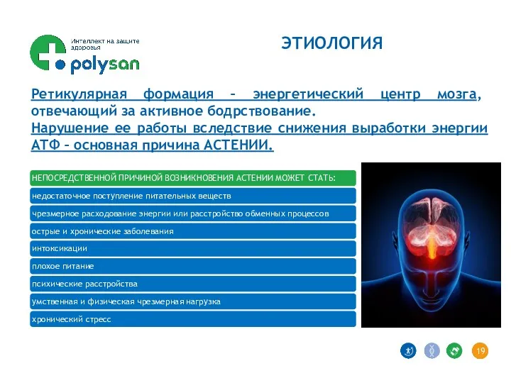 ЭТИОЛОГИЯ Ретикулярная формация – энергетический центр мозга, отвечающий за активное